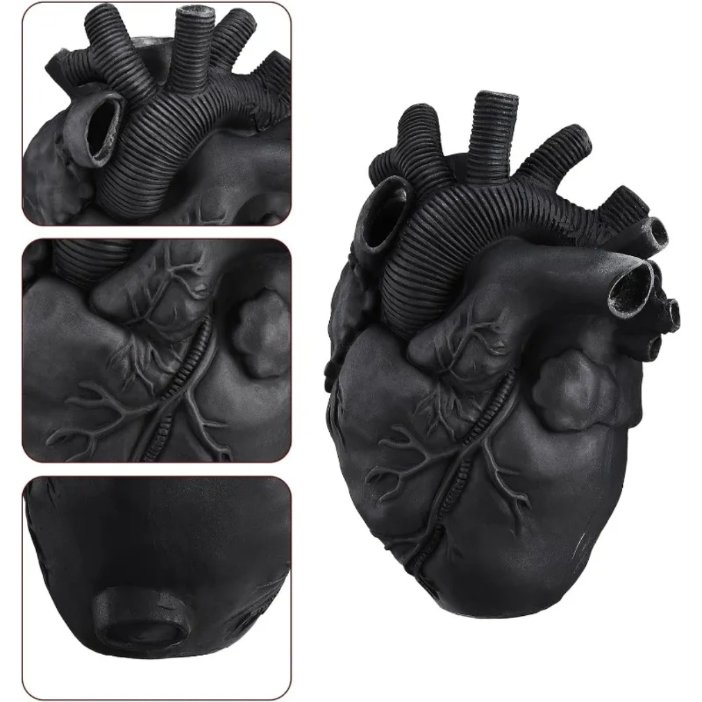 Black Anatomical Heart Vase Ha - Florist Supply Vases ulasan dan harga