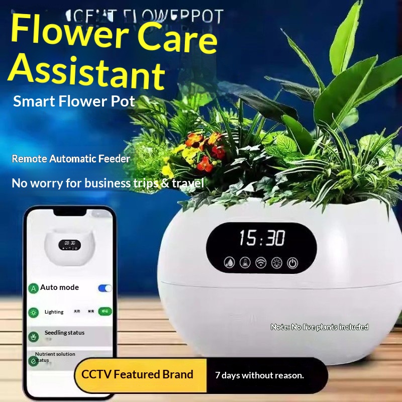 Ai Intelligent Flowerpot Autom - Flower Supply ulasan dan harga